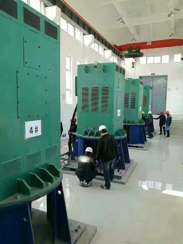 YJTG-315L1-4A/160KW某污水处理厂使用我厂的立式高压电机安装现场