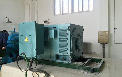 YJTG-315L1-4A/160KW某水电站工程主水泵使用我公司高压电机