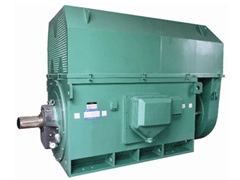 YJTG-315L1-4A/160KWYKK系列高压电机