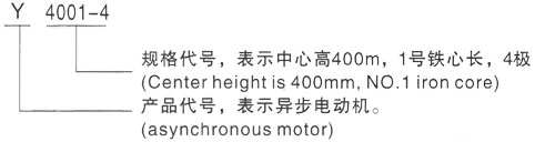 西安泰富西玛Y系列(H355-1000)高压YJTG-315L1-4A/160KW三相异步电机型号说明